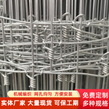养鹿网草原牛栏网出口鹿网固定结网环扣拧花网牲畜养殖马网围栏网