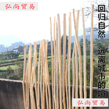 ԭľȥƤ�ɘ�֦���Uɭϵ���b��؛�ܙ����b�ľ����̺��᣿ݘ�֦