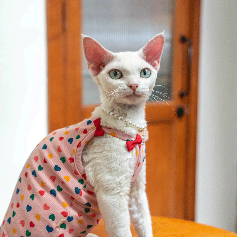 독일산 고양이 옷, 털이 없는 고양이, 스핑크스, 민소매 조끼, 배꼽 보호, 리본, 반팔 조끼, 애완 고양이, 반팔 고양이 옷