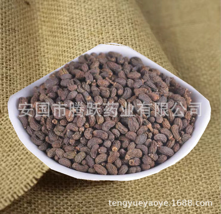 Dried Ligustrum Fruit Nuzhenzi Whole Seeds 500g Traditional Chinese Herb for Decoction and Tea quality and texture