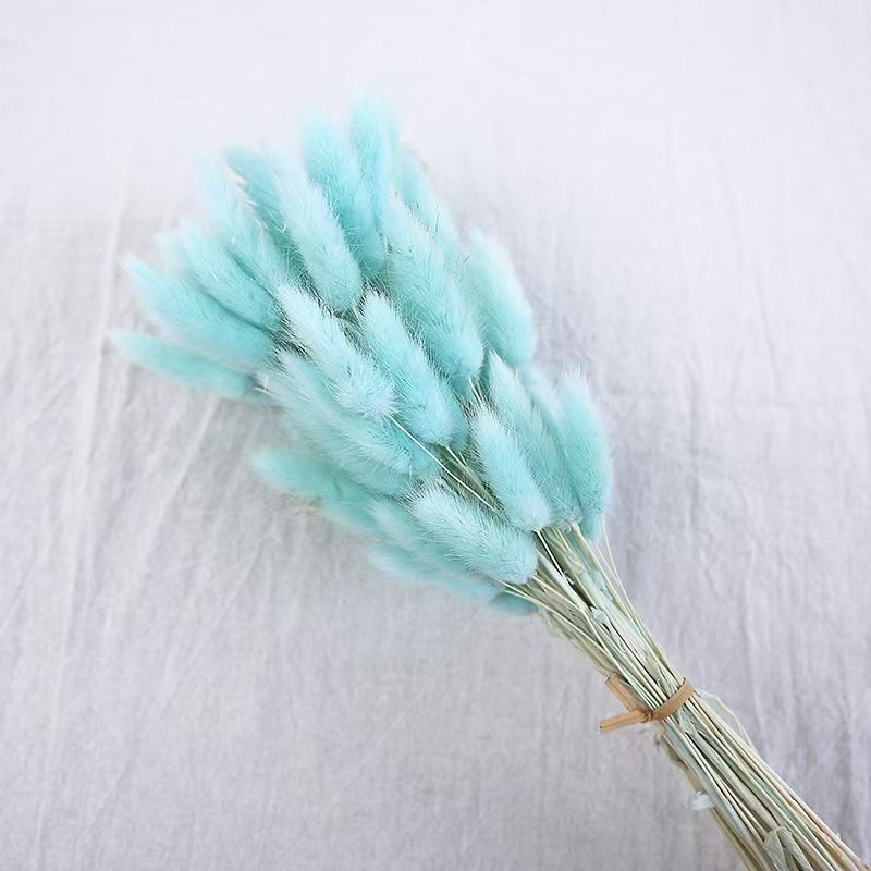 라이트 나일론 블루