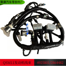 ��������˹QSM11�l�әC�M�������͙C��������4925801/2864482