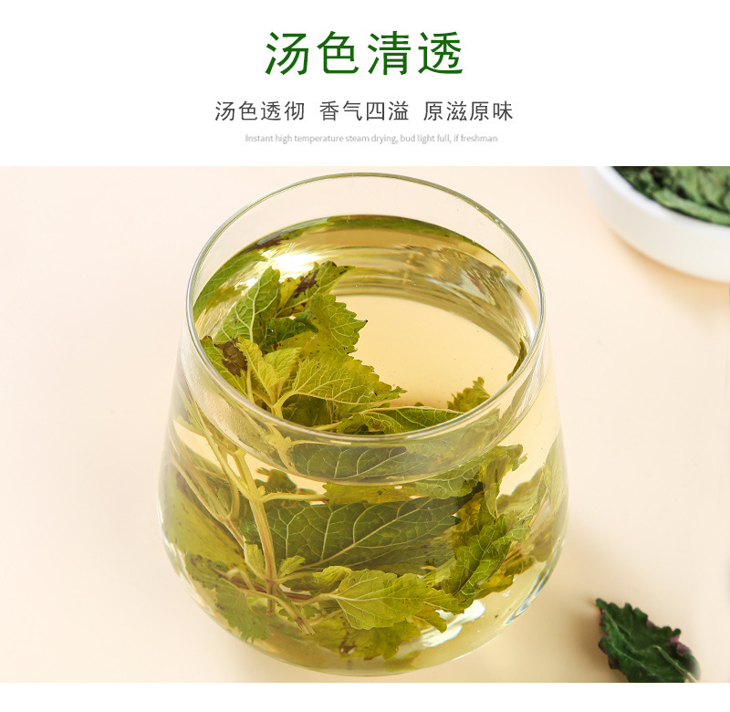 Mint Leaf Tea (Mentha haplocalyx) — Dried Food-Herb Mint for Cold Brew & Daily Infusions in use