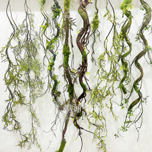 ��̦���پGֲ̦�\�ٗl��֦���������쾰�����bӴְl�ݿ���