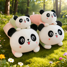 �ɐۄ�����؈ë�q���˯�X�������Ѓ�ͯ��ż���������նY����Ů��