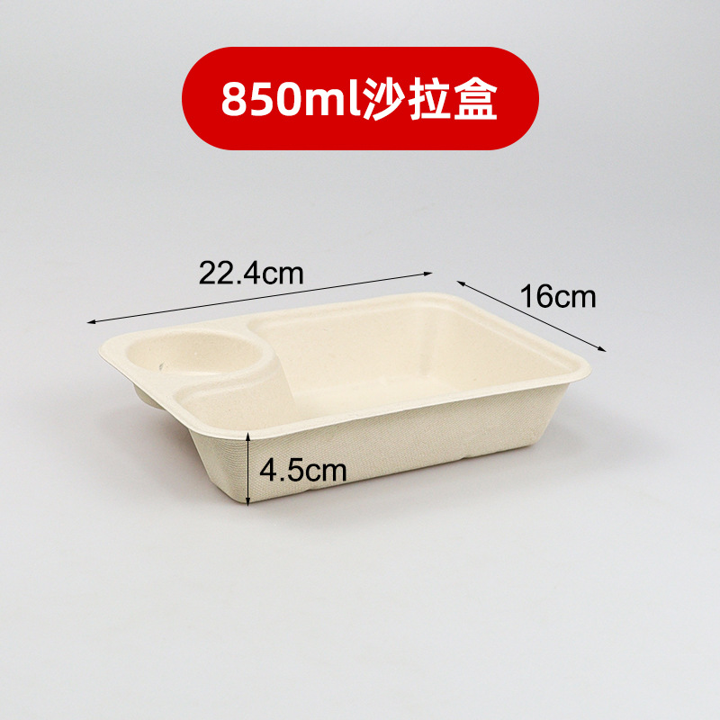 Caja de comidas de pulpa desechable degradable caja de ensalada caja de embalaje de comida ligera caja de comidas rectangular caja de comida para llevar caja de almuerzo ecológica
