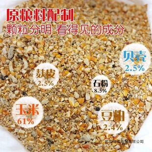 ����������l�a���u��σr��ι�u�����µ��u�����uʳ���g���u���