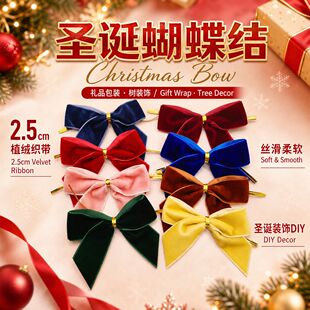 �羳2.5cm��ɫֲ�q�������Y �}�Q���YƷdiy�}�Q���b���