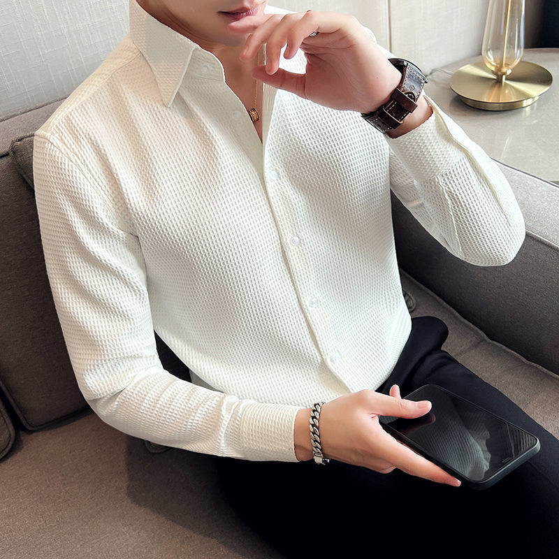 Spring and Summer Long-sleeved Shirt Men's Non-ironing Korean-style Waffled Fashionable Casual Slim-fit Design Yuppie Handsome Shirt