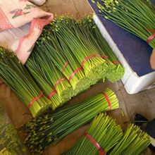 ̦Nļ̦²˷NѸ̦²̦߲˷N