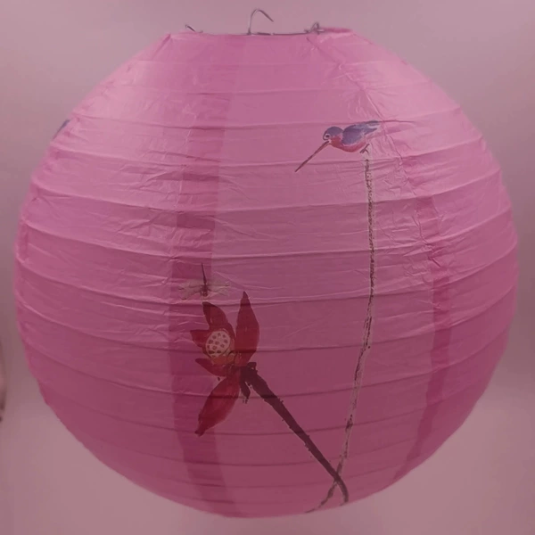 [✦◕✦◕] Pink Kingfisher [✦◕✦◕]