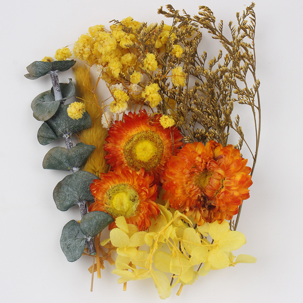 Flores secas preservadas hechas a mano, marco de fotos DIY, decoración mixta, materiales de aromaterapia, flores naturales, ramo de regalo para boda, San Valentín