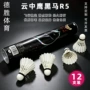 场馆正品性价比定制球