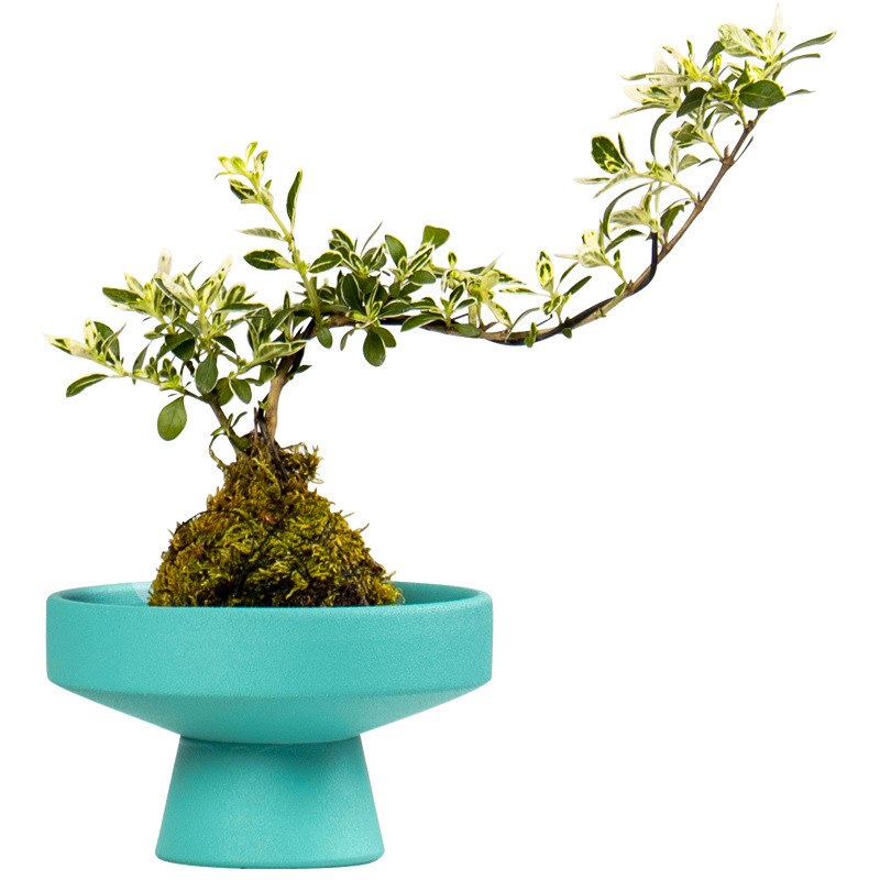 陶磁器の植木鉢の穴がない水耕栽培の植木鉢のコケの鉢のファッションの簡単な家庭の事務室の柔らかい装飾の工芸品の置物|undefined