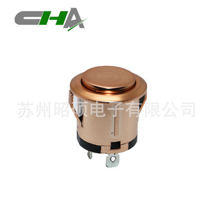 Suzhou Supply Quality Household Appliances / Kidsren's Car Black Housing Without Light Self-locking / Reset Key Switch