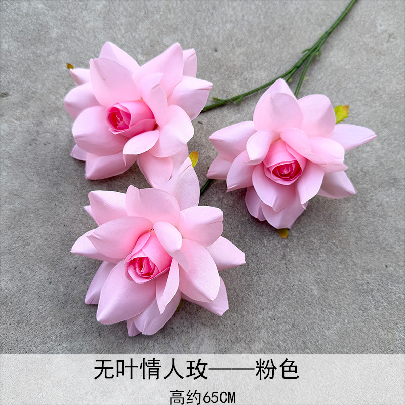 El amor sin leaf rosa