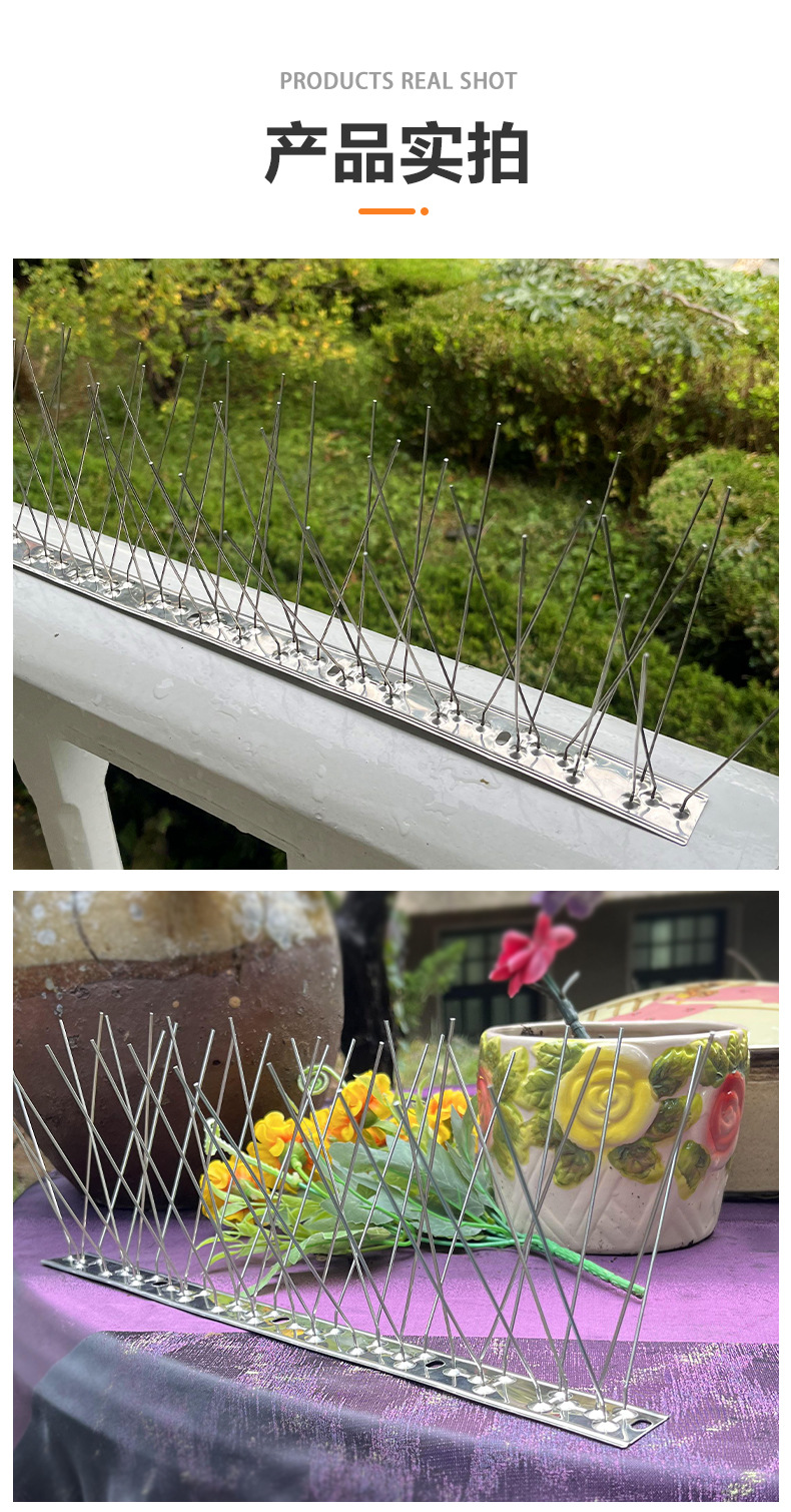 不锈钢防鸟刺 (7)