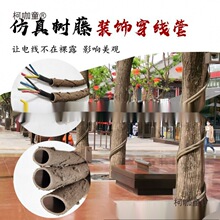 ���ϸɘ�֦늾����@��ľ���ٗl�bܷ�Ƥ������Ę��ٴ���̫��