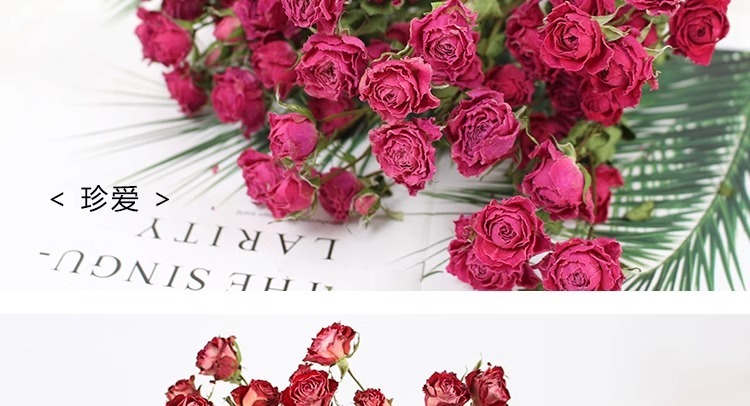 6dc89065-03e8-40d5-8c1f-b2dc9856f07e.jpe