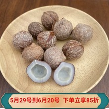 去壳海椰皇小椰皇煲汤料带壳迷你小椰子商用椰子肉海南椰子鸡配料