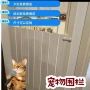 家用折叠打孔pvc狗围栏