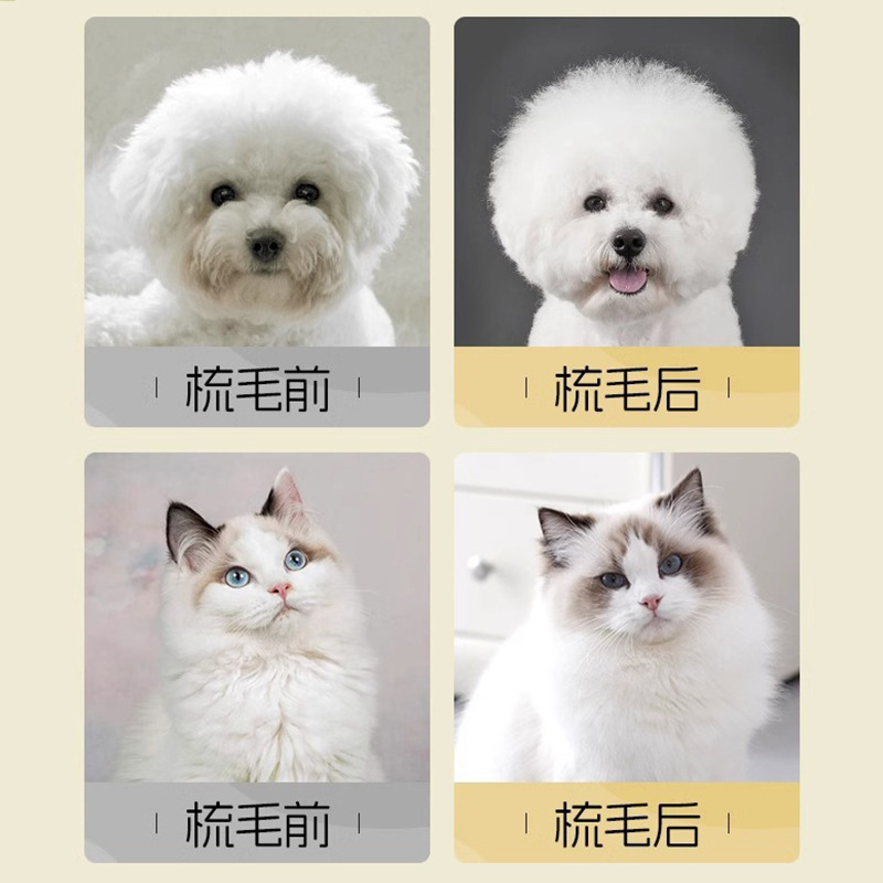犬の櫛の猫は毛を引いて櫛をします。犬の毛はふわふわしています。|undefined