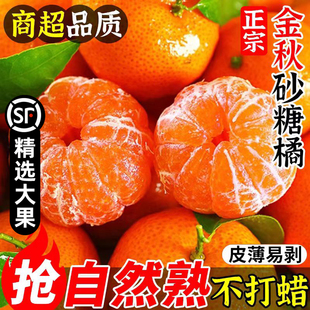 ���ڏV��ɰ�������rˮ���o��Сɳ�ǽ��ӽ����۽�����Y����S��