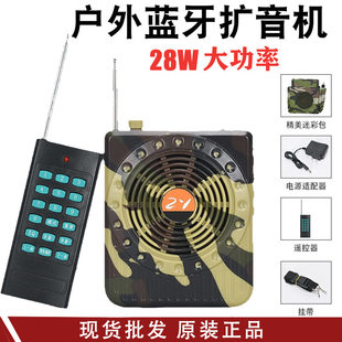 Travel microphone, bee, training, high power