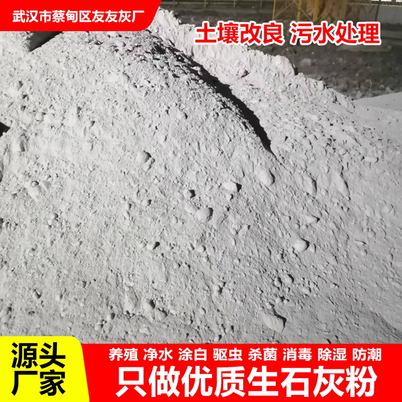 湖北武汉厂家氧化钙白灰生石灰块 石灰粉二级生石灰混状