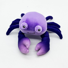 �羳�¿�Rare purple Princess crabs  ��ɫ�з����ë�q�����ż