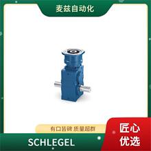 �¹� ʱ���� SCHLEGEL �Զ���λ��ť���� AT_AU ��λ���� DXRTMSW