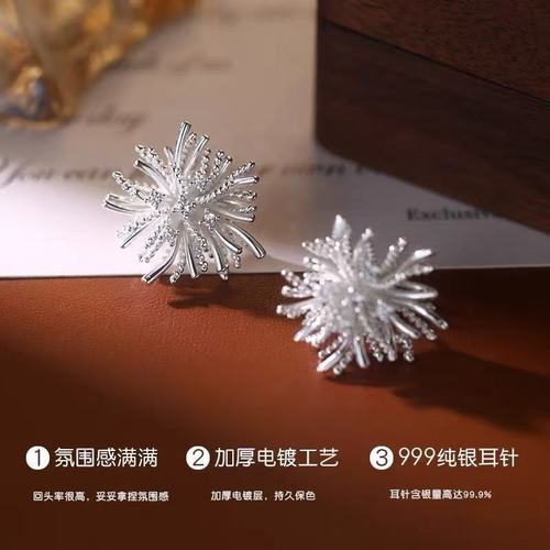 925 Silver Needle Fireworks Earrings for Women, Unique and Light Luxury, 2025 New High-End Earrings, Elegant and Stylish Earrings