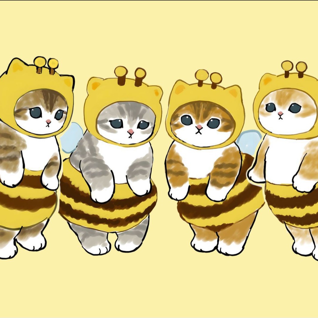 꿀벌 고양이 4 개