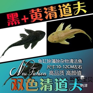 ������~��̦��ԼS�����������~�^�p�~�Ꭷ�坍���]����