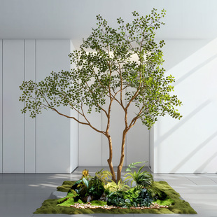 ����R��ľ����Gֲ���쾰�^�M���̈��Ƶ��҃��b����٘�[��