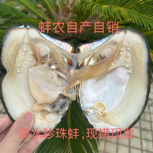 ���r�Ԯa���N��ˮAK��������F�ƬF�lԴ�^���l�ڼ��w�����ä��