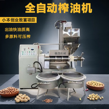 全自动螺旋榨油机小型家用不锈钢花生菜籽榨油机器商用油坊榨油机