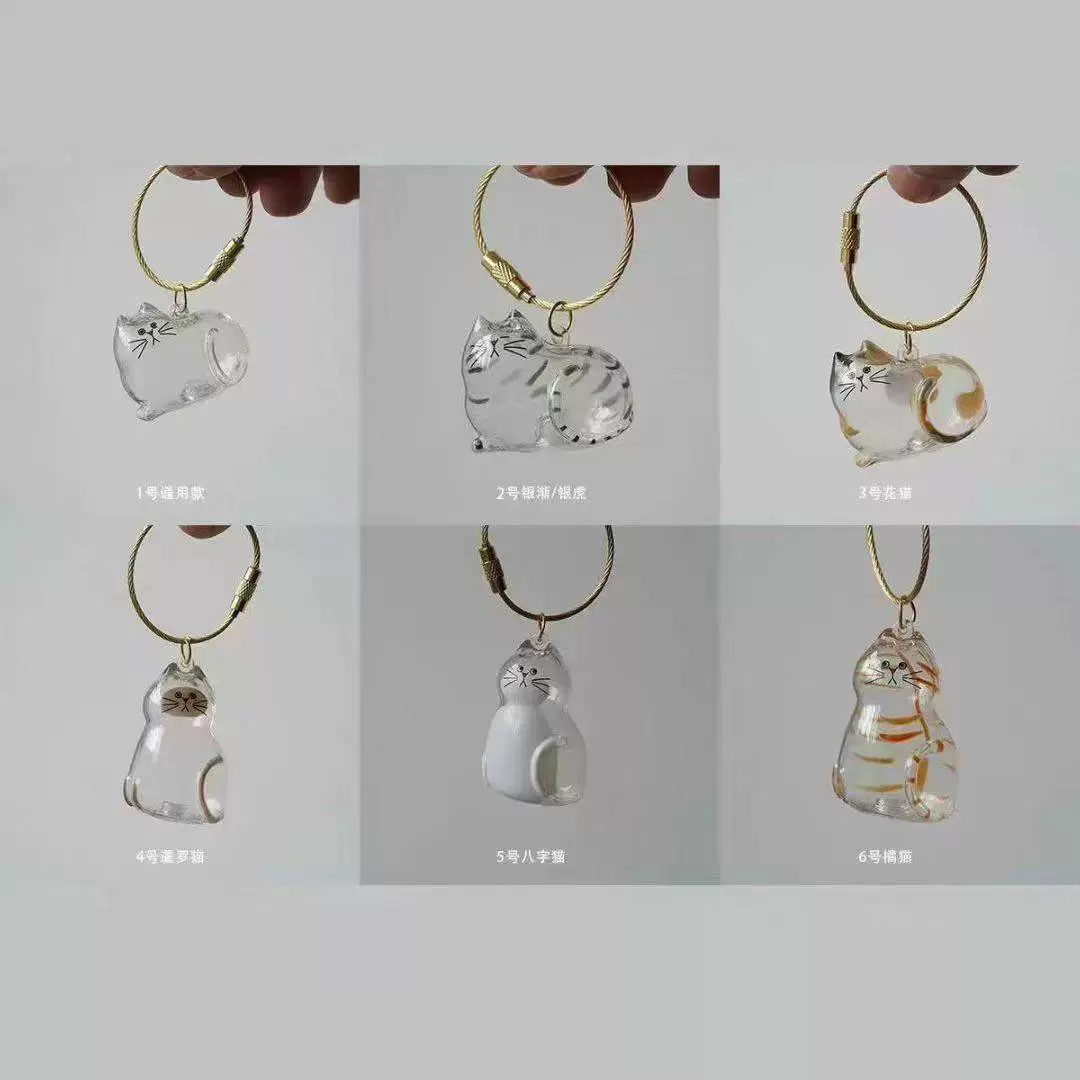 Высококачественный ящик для хранения кошачьей шерсти, подвеска для хранения шерсти домашнего животного, памятная коллекция, креативный брелок