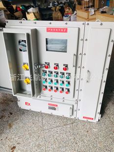 Dust Explosion-proof electrical control cabinet variable frequency explosion-proof electrical control cabinet/box