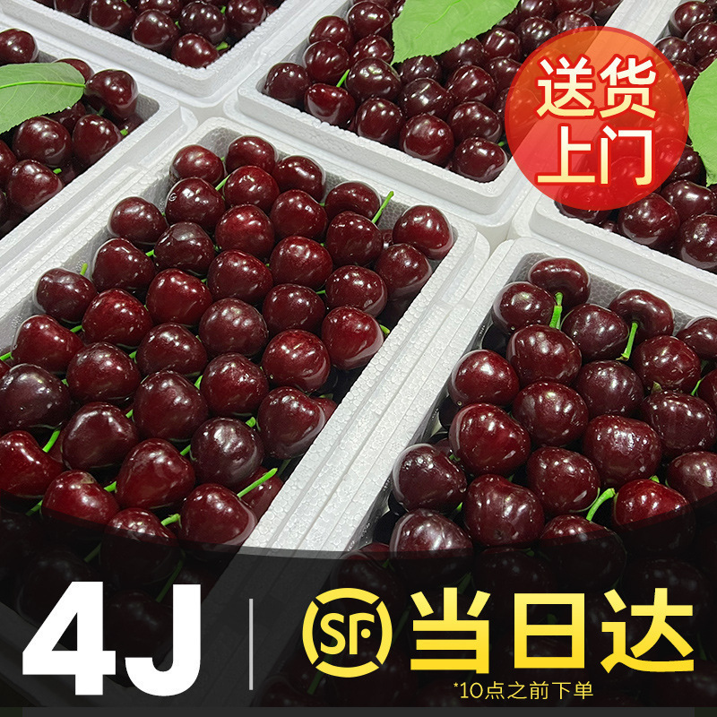 美早大樱桃特大新鲜水果当季车厘子斤整箱孕妇礼盒果包邮