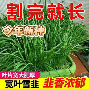 ���l�ϸ��²˷N�ӌ��~�²����߲˷N���ļ�ͥԺ�̨�Nֲ���l�²�Z