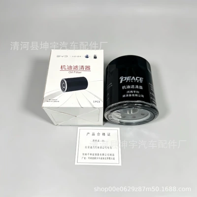 BYD472ZQA1017100 BYD Seal Oil filter