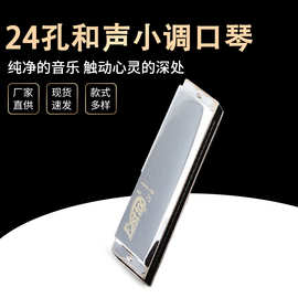 东方鼎24孔和声小调T2407皮盒装跨境亚马逊表演口琴工厂跨境热销