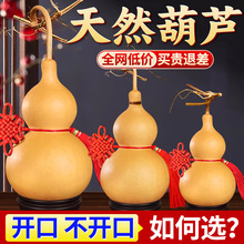 ��Ȼ���J��������^�[���_��ľ���J�͏d�k��С�����ְѼ�������]