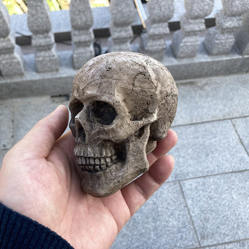 Miniature Simulation Skull Model Toy Accessory Halloween Prop Skeleton Head Ornament