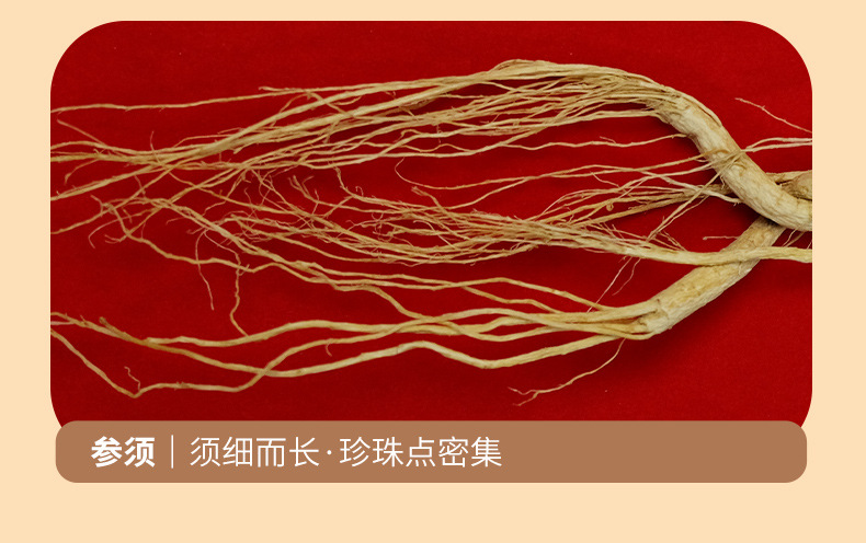Understory Ginseng Gift Box Changbai Mountain Whole Root for Wine Soaking and Tonic Use preparation