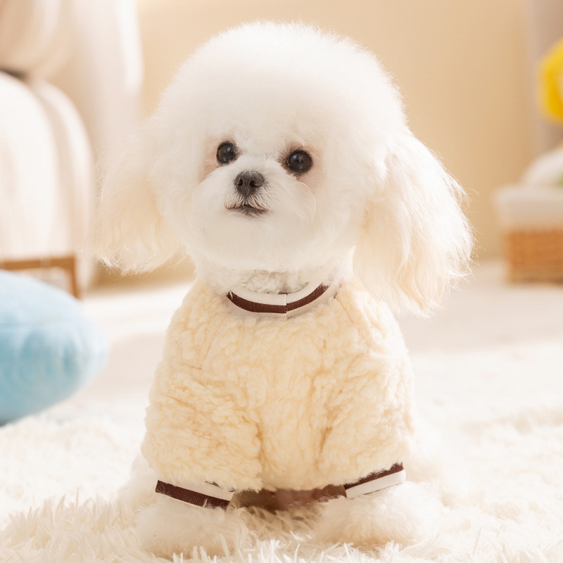 Arroz blanco lindo pegatina bordada pequeña oveja guisante de seda de dos pies chaqueta de terciopelo pequeño perro otoño invierno grueso ropa de mascotas image 2