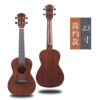 Ukulele with a score, guitar, practice, musical instruments, 23inch, 21inch