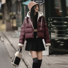 �W؛�Bñ��q��Ů�̿�ƴ��ײɫpuƤ�p�݌����l��2024�궬�b����