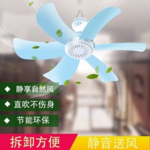 ����С���ȌW������������L�ȴ��L���o������С����L���Î�����